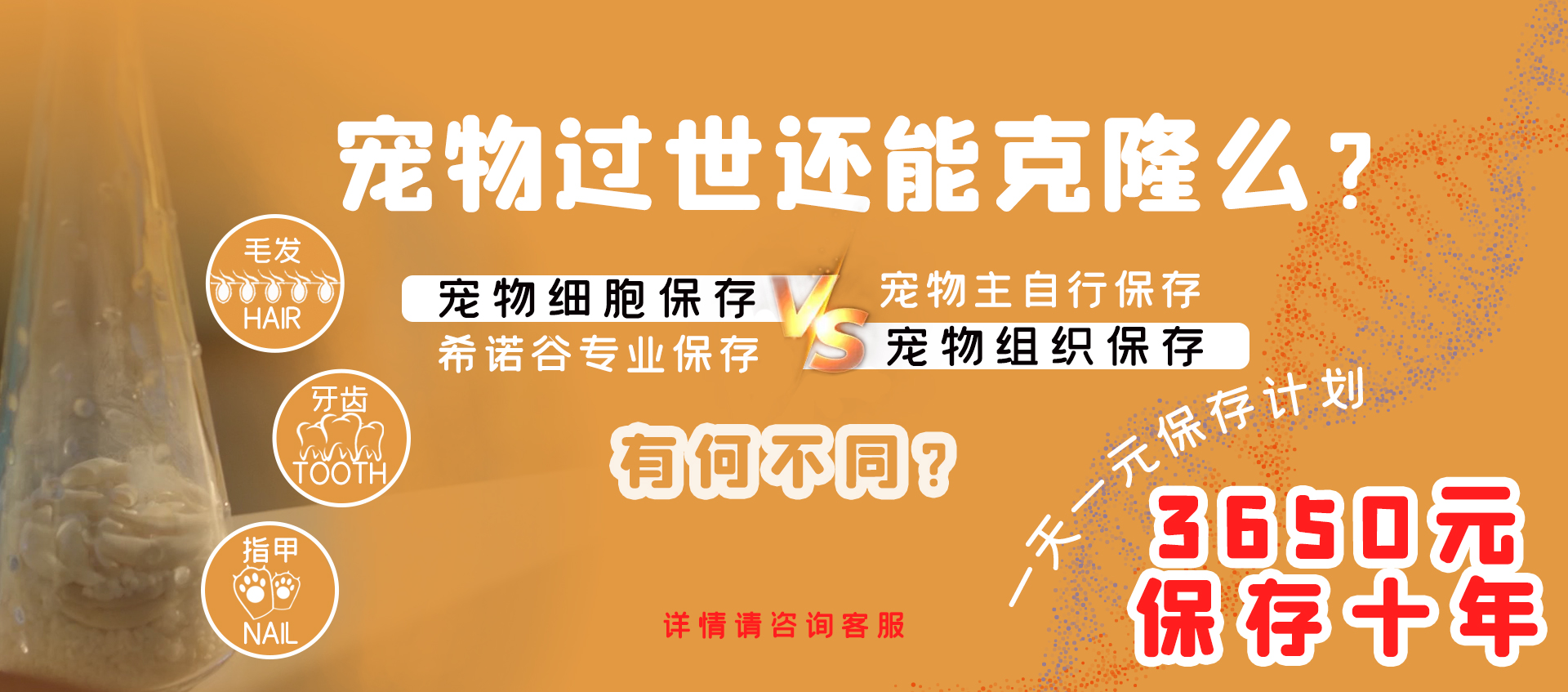 首页banner